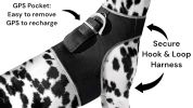 Waterproof Mini Dog Collar with GPS Tracking System Realtime Tracker Size:XS