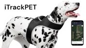 Wireless GPS Tracking Collars for Hunting Dogs Realtime Tracking Tool Size:S